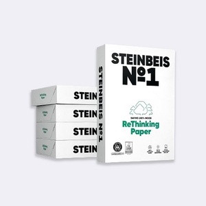 Steinbeis N1