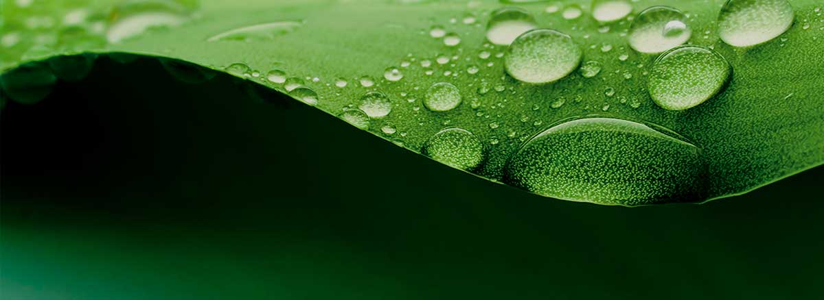 sustainability-desktop-dark.jpg
