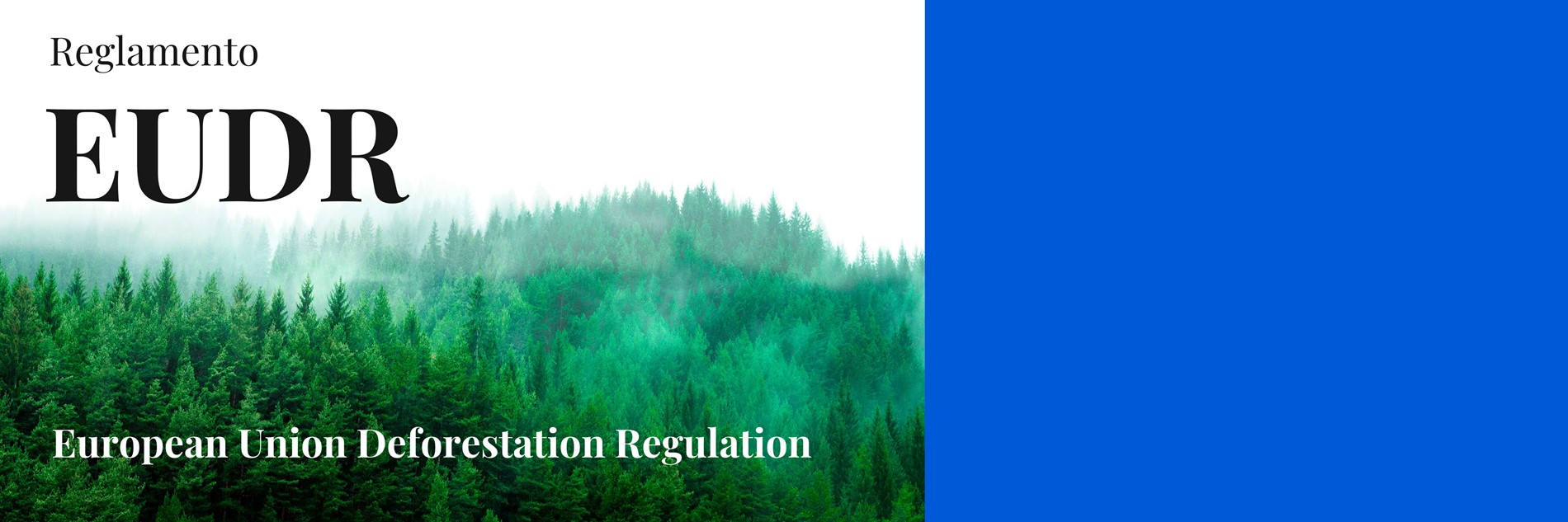 bd_EUDR_octubre_2025.jpg